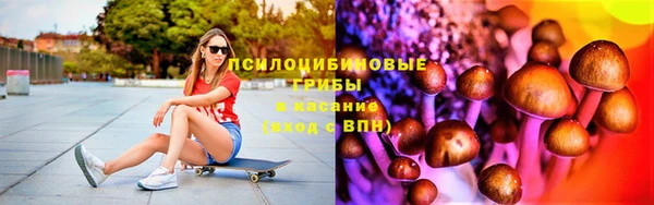 МДПВ Вяземский
