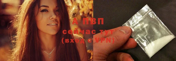 apvp Горняк