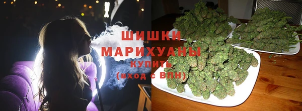МДПВ Вяземский